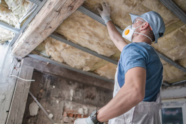 Professional Insulation Contractor in Hackberry, TX