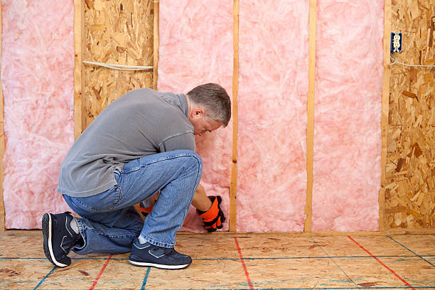 Types of Insulation We Offer in Hackberry, TX