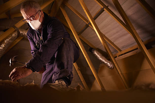 Best Specialized Insulation Services in Hackberry, TX