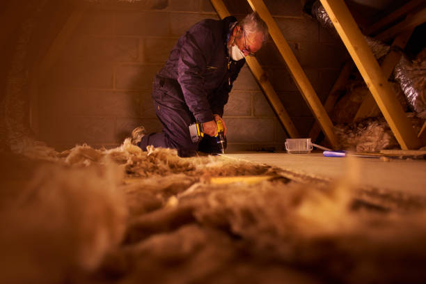 Best Energy Efficiency Insulation in Hackberry, TX